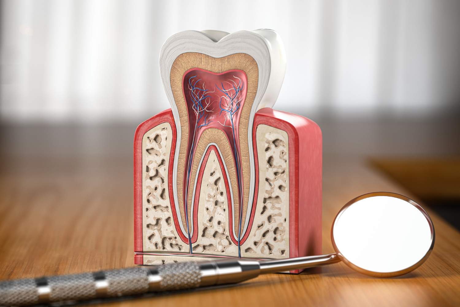 Endodoncia